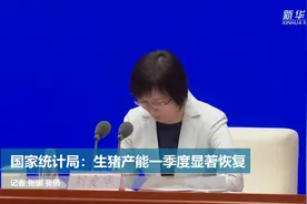 国家统计局：生猪产能一季度显著恢复视频封面