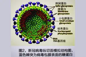 新冠假病毒现身上交会高校展区，怎么测毒、防毒、杀毒？新装备都安排上了图片