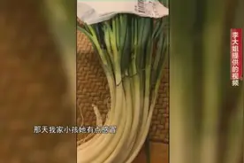 合肥惊现“染色葱”?记者暗访调查，检验人员取样检测图片