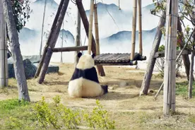 春游江淮请您来“媒体踏青访宿州”图片