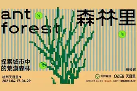 杭州长出了一片“荒漠森林”，周末天目里有一场最潮的绿色嘉年华图片