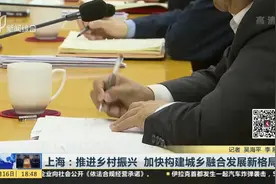 上海：推进乡村振兴  加快构建城乡融合发展新格局视频封面