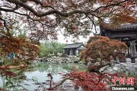 尽揽园林芳华 江苏省园艺博览会亮相南京图片