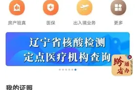 辽宁人 电子身份证、电子驾驶证来了图片