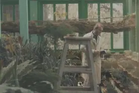 武大风景学教授张箭飞一句“大自然从不拉直线”，“箭”指“千村一面”现象图片