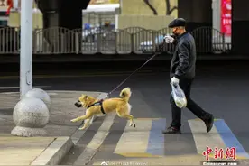 注意！5月1日起遛狗不拴绳违法，不给狗定期打狂犬疫苗可处罚款图片