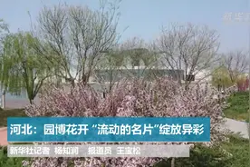河北：园博花开 “流动的名片”绽放异彩视频封面