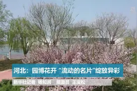 河北：园博花开 “流动的名片”绽放异彩视频封面