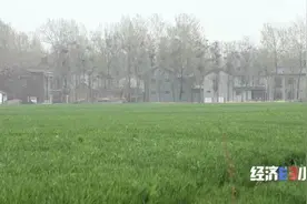 水泥墙里塞泡沫？河南周口鹿邑县投资千万“水利工程”变“样子工程”图片
