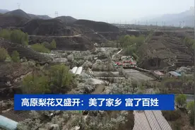高原梨花又盛开：美了家乡 富了百姓视频封面