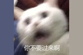 曝光！佛山禅城一男子大闹街头，见人就要“夹”，惊呆现场群众图片