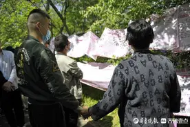 千佛山相亲｜八旬奶奶拉着孙子的手来相亲，想让孩子早脱单图片