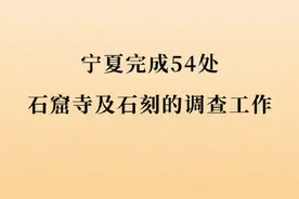 宁夏完成54处石窟寺及石刻的调查工作图片