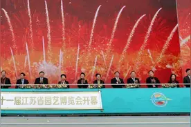对工业遗产修复再利用，“水泥生花”的江苏园博会在南京开幕图片