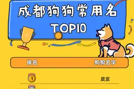 成都狗狗常用名Top10出炉！你家狗子叫什么？图片