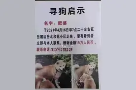 长沙女子悬赏15万找宠物狗？当事人：爱狗已被好心人送医，我们一定会支付酬金图片