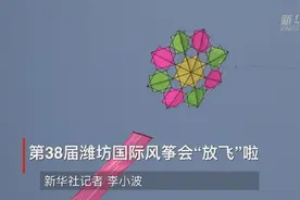 新华全媒+｜第38届潍坊国际风筝会“放飞”啦图片