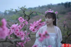 悠闲自在时分，最宜龙泉寻春~图片