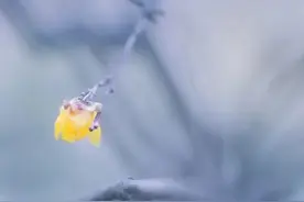 人生最值得认清的四件事图片