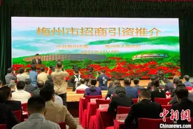 广东民企参加梅州招商引资推介会 18个签约项目总额118亿元图片