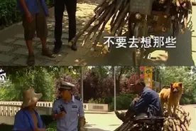 现实版“福贵”大爷找到了！令人唏嘘的故事，结局意想不到图片