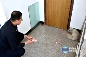 有困难找警察！一只狐狸走进派出所“寻求帮助”……图片