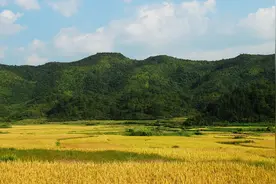 【抚州红色资源通览】第五次反“围剿”——黎川团村、德胜关防御战图片