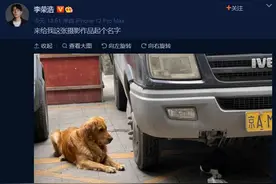 李荣浩晒街头随拍：来给我这张摄影作品起个名字图片