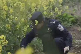 大烟果子真的不能种，油菜花也很美视频封面