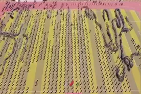 49秒｜既锻炼身体 又缓解压力！3000余名学生课间操玩“贪吃蛇大作战”