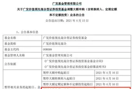 冠军基今年暴赚37%：刚刚二次紧急“限购”又一只百亿新基金来了图片