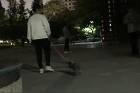 小时观察 | 5月1日起遛狗不牵绳将违法，文明养犬这件事杭州做得如何图片