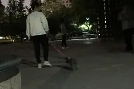 小时观察 | 5月1日起遛狗不牵绳将违法，文明养犬这件事杭州做得如何图片