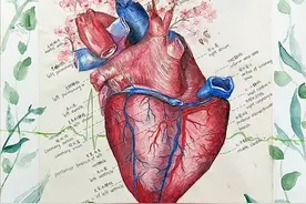 医学生的手，爱了爱了→图片
