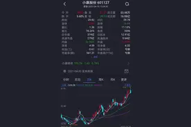 独家｜华为智选“开售”新能源车 首家合作方为小康股份图片
