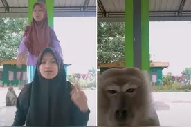 印尼姐妹俩拍视频遇猴子被吓跑 意外拍下猴子偷手机全程图片