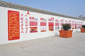合阳县2021年一季度乡村振兴现场观摩推进会侧记图片