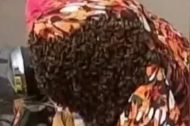 电瓶车遭万只蜜蜂聚集筑巢 车主：懵了，刚停了20分钟