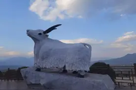 「沿着高速看中国」云南高速服务区：观景、购物、娱乐，手机扫码就能洗澡图片
