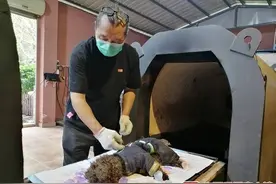 遗体整容、遗体告别、安葬……探访宠物“告别仪式”全流程图片