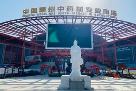 “皖美”安徽｜亳州：走进康美中药城 感受“魅力药都”图片