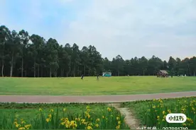 成都宠物友好型公园，野餐、赏花、遛狗，一次性全满足图片