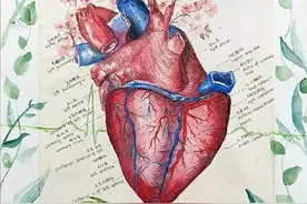 灵魂画手！医学生又有“神作”……图片