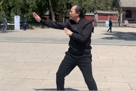 单指碎绿豆！螳螂拳非遗传承人于永波：文武加持，将螳螂拳传下去图片