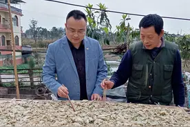 “扶贫业务员”蒋京城：我的业务是帮助村民过上好日子图片