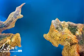 贵州黔西：春到支嘎阿鲁湖图片