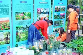 四月蔷薇开 温江万春邀你来打卡赏花乡村游图片