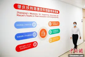 港青肇庆创业愿“首吃螃蟹”：与大湾区共成长，是我们的机遇图片
