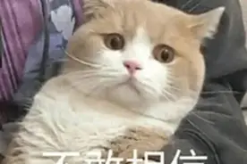 25岁青年逃出缅北的惊魂日夜图片