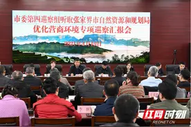 张家界市委第四巡察组进驻市自然资源和规划局开展优化营商环境专项巡察图片